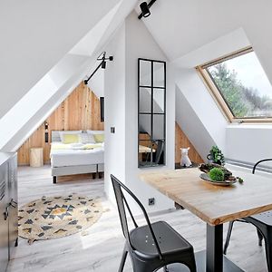 Apartament na poddaszu na poddaszu